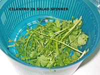  salad-spinner with cilantro